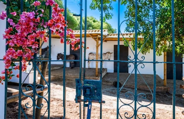 4 Zimmer Villa zu verkaufen in San Roque mit Pool Garage - 1.595.000 € (Ref: 10133164)
