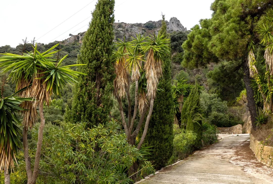 5 bedroom Villa for sale in Casares with pool garage - € 1,550,000 (Ref: 9616383)