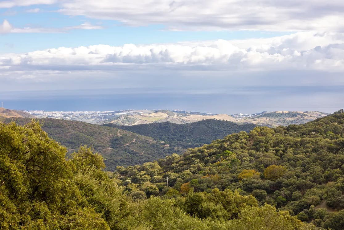 5 bedroom Villa for sale in Casares with pool garage - € 1,550,000 (Ref: 9616383)