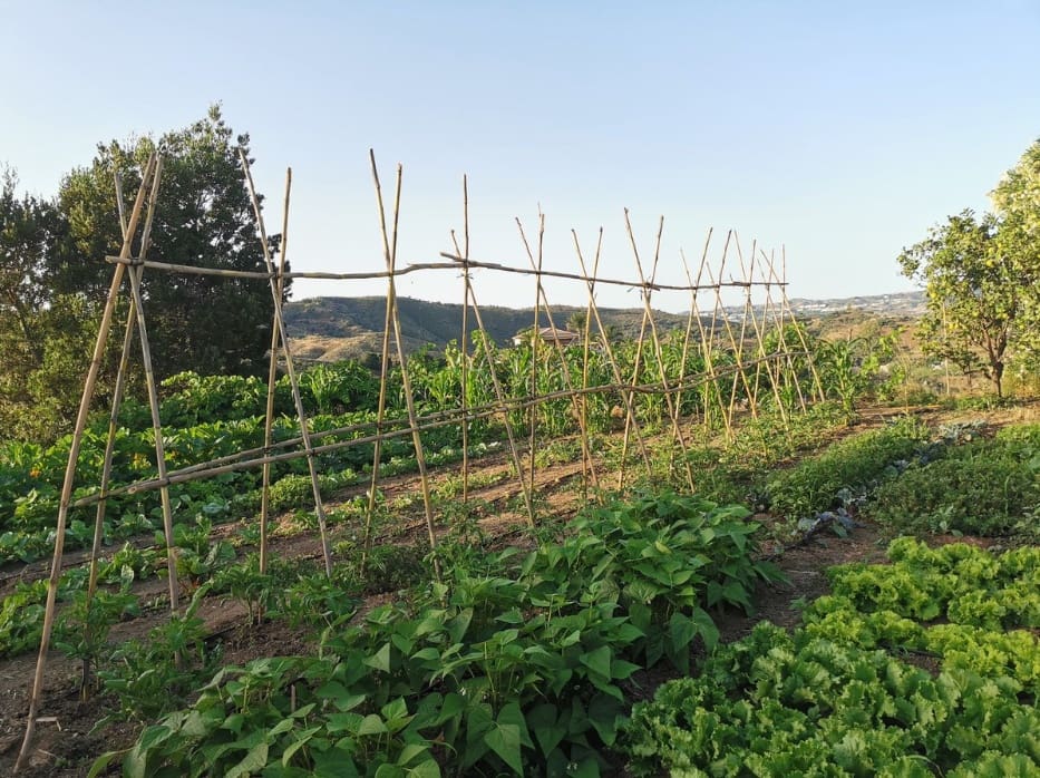 3 bedroom Villa for sale in La Cala de Mijas with pool garage - € 1,450,000 (Ref: 9616500)