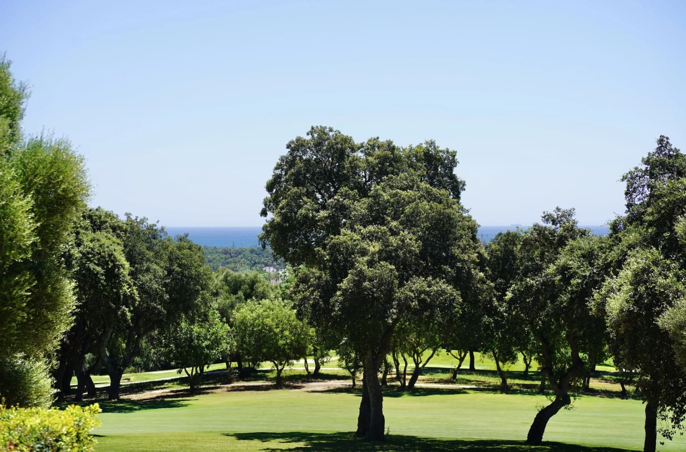 5 Zimmer Villa zu verkaufen in Sotogrande mit Pool Garage - 1.495.000 € (Ref: 9616549)