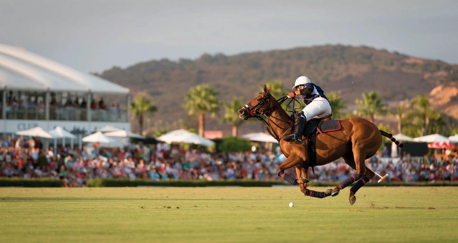 4 slaapkamer Villa te koop in Sotogrande met zwembad garage - € 1.875.000 (Ref: 9616693)