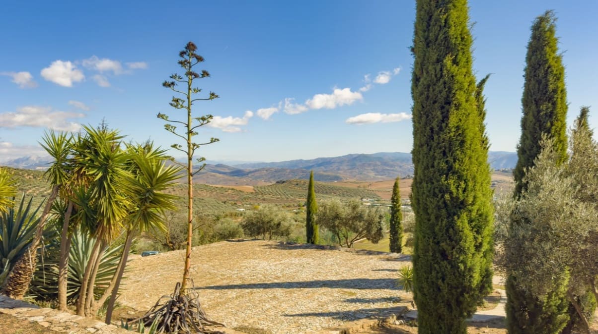 13 soverom Villa til salgs i Villanueva de la Concepcion med svømmebasseng garasje - € 2 250 000 (Ref: 9683372)