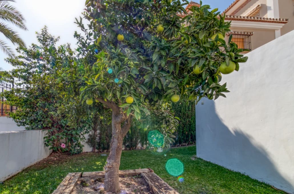 Chalet de 4 habitaciones en Mijas Costa en venta con piscina garaje - 2.395.000 € (Ref: 9745240)