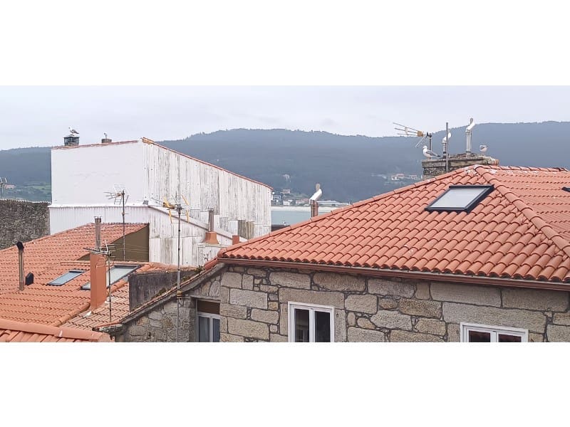 5 bedroom Finca/Country House for sale in Laxe - € 267,000 (Ref: 9817915)
