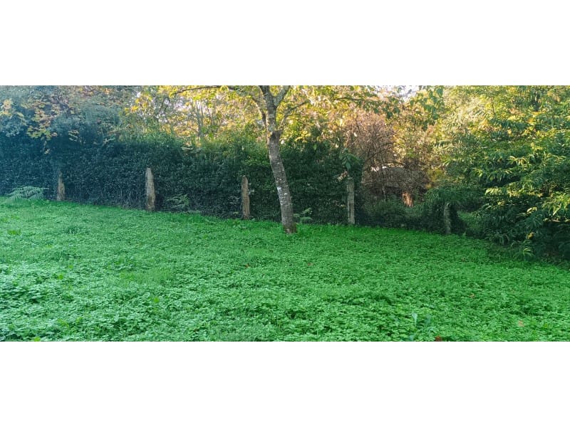 4 bedroom Finca/Country House for sale in Santiago de Compostela - € 280,000 (Ref: 9824860)
