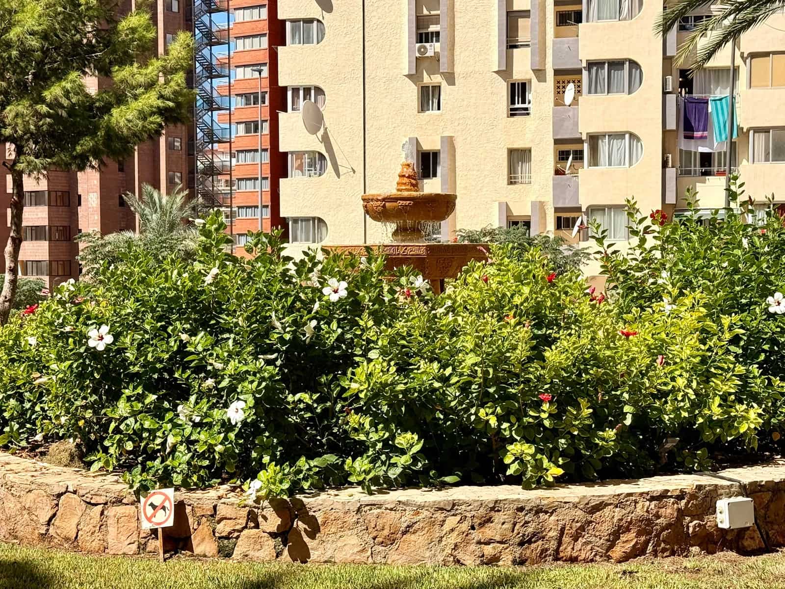 1 soverom Leilighet til salgs i Benidorm med svømmebasseng garasje - € 198 000 (Ref: 10074615)