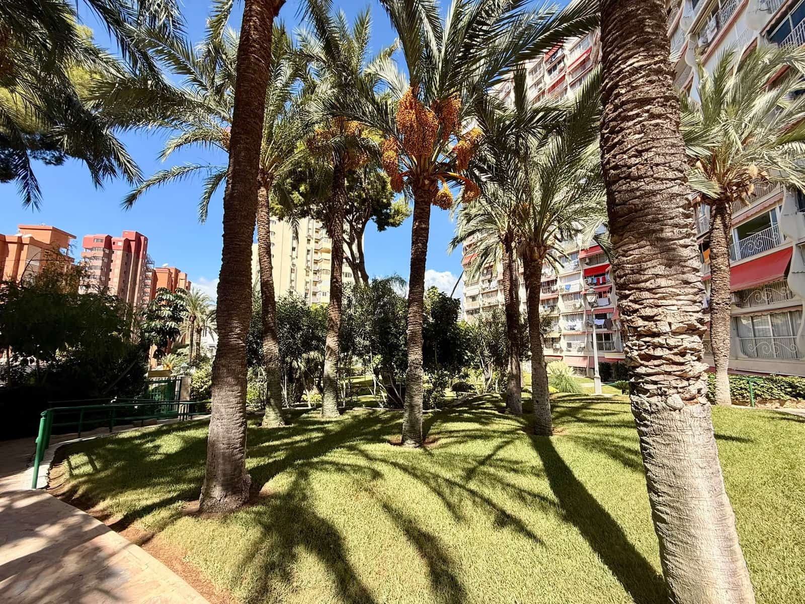 1 soverom Leilighet til salgs i Benidorm med svømmebasseng garasje - € 198 000 (Ref: 10074615)