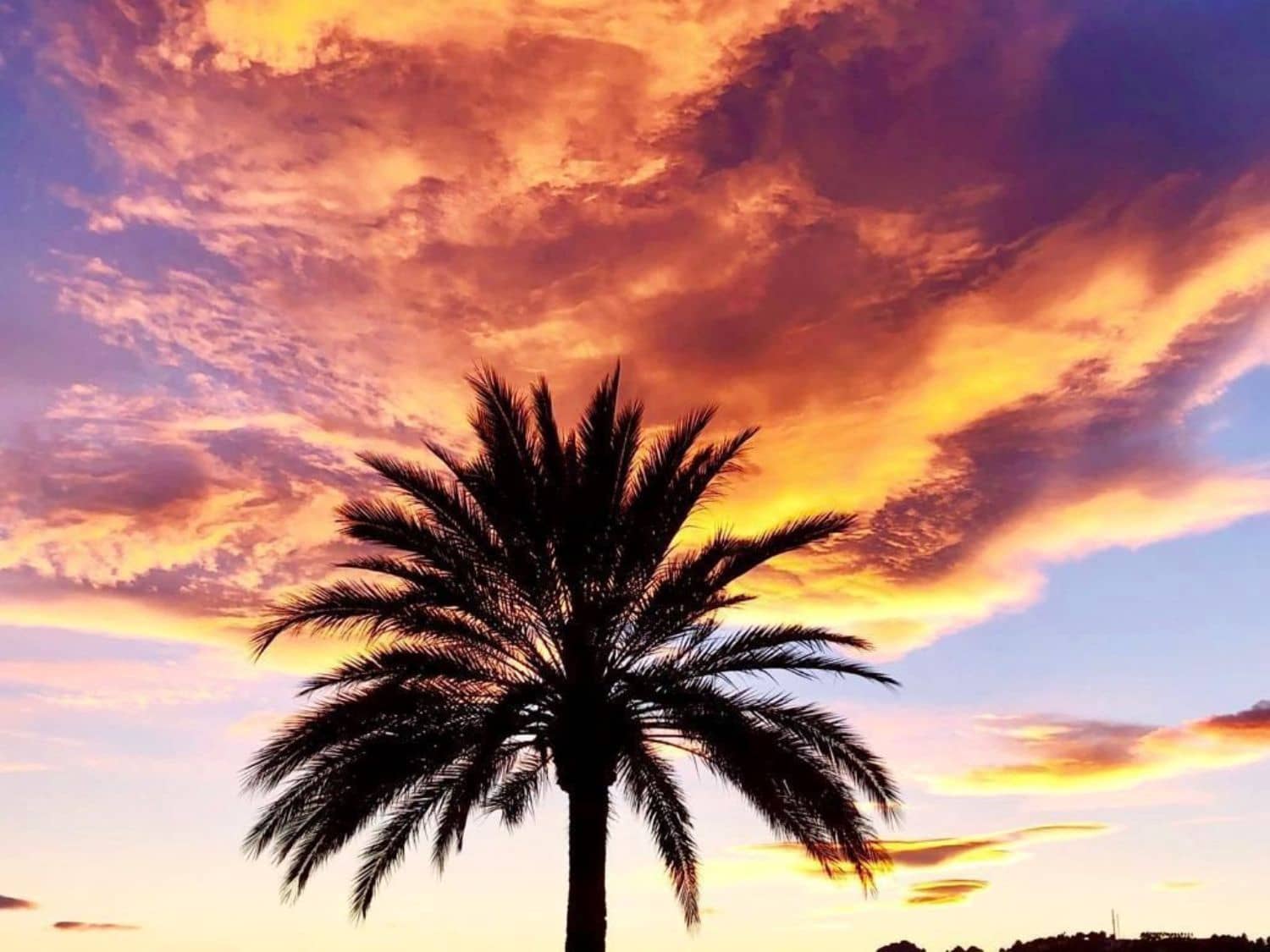 6 makuuhuone Huvila myytävänä paikassa Benissa mukana uima-altaan - 1 875 000 € (Ref: 8374510)