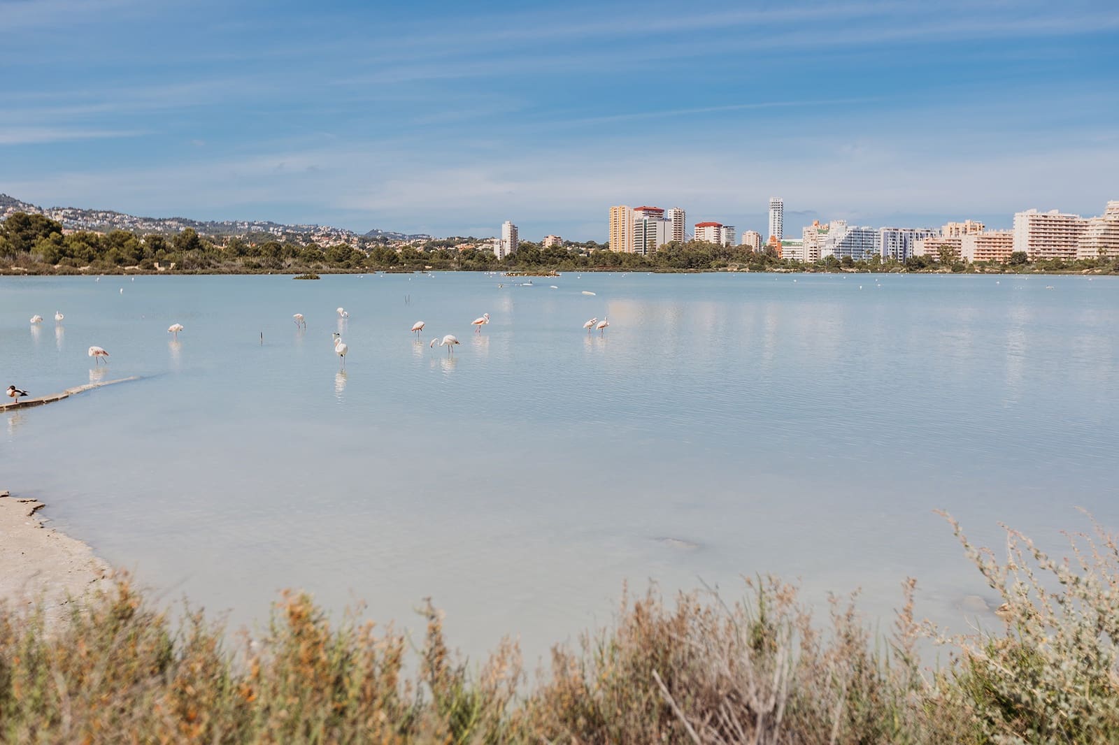 Appartamento in vendita in Calpe / Calp - 169.000 € (Rif: 8633591)