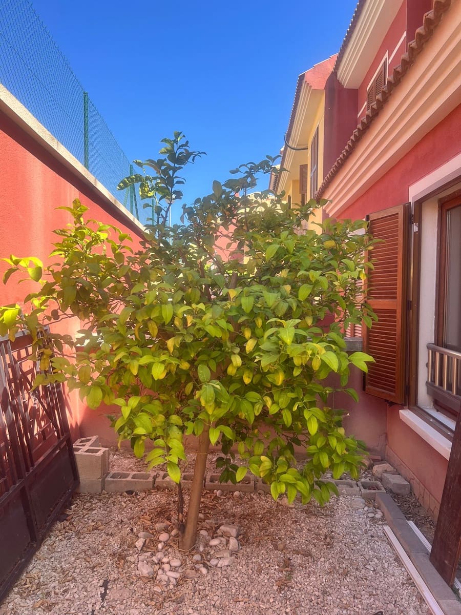 3 camera da letto Bungalow in vendita in Finestrat con piscina - 335.000 € (Rif: 9135157)