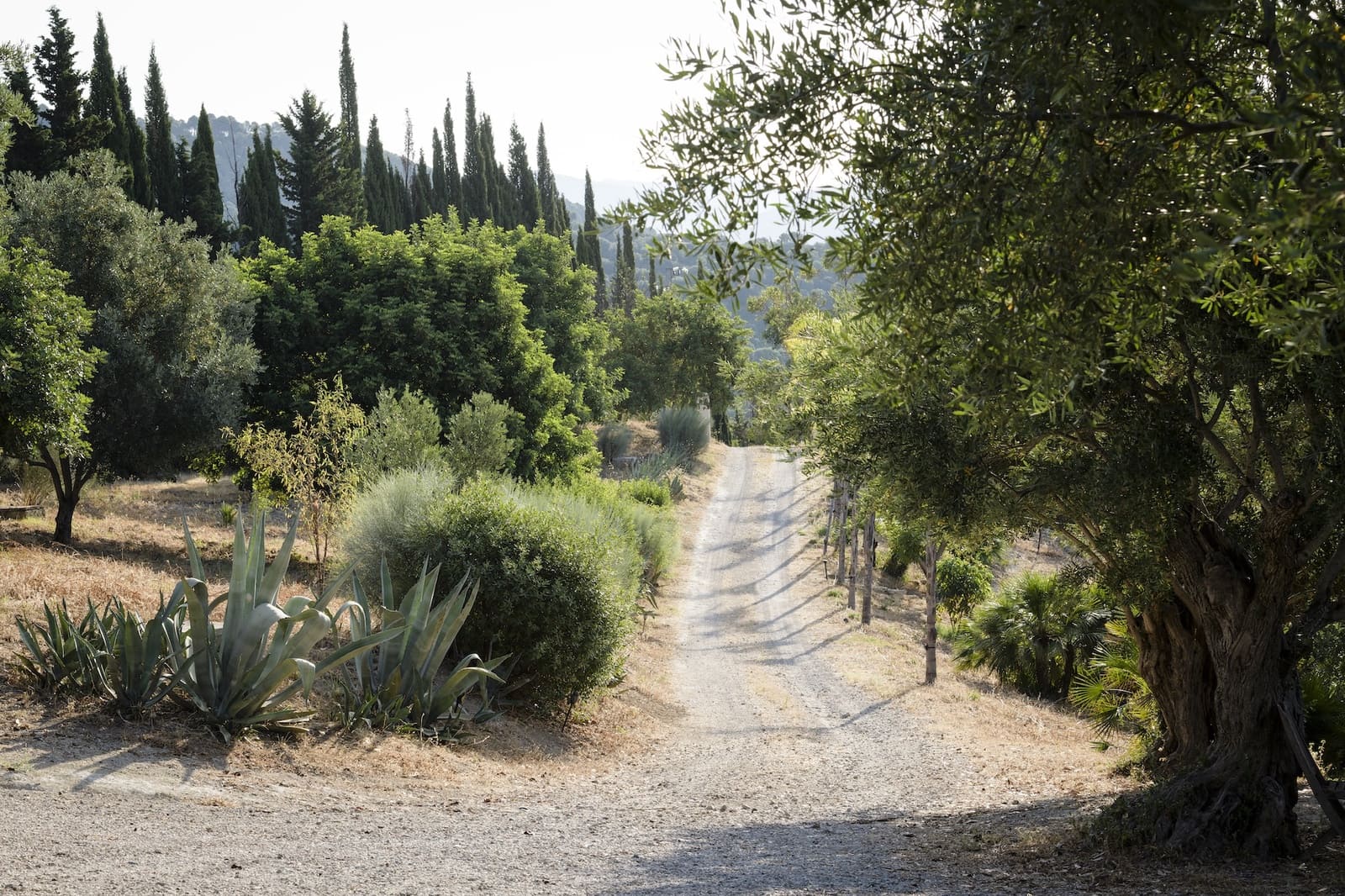 9 chambre Finca/Maison de Campagne à vendre à Gaucin avec piscine garage - 2 495 000 € (Ref: 9417515)