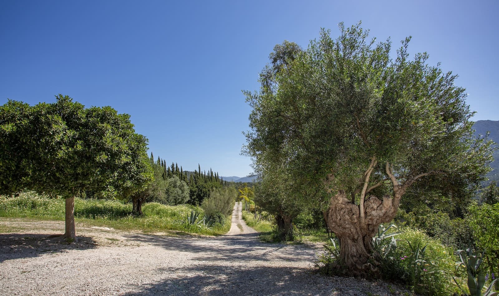 9 chambre Finca/Maison de Campagne à vendre à Gaucin avec piscine garage - 2 495 000 € (Ref: 9417515)