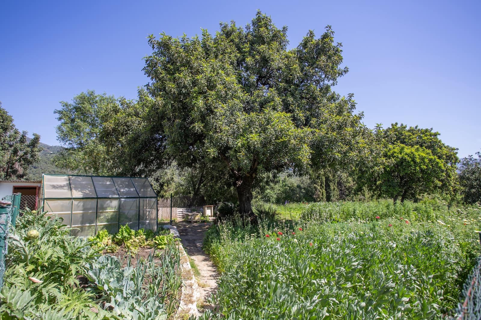 9 chambre Finca/Maison de Campagne à vendre à Gaucin avec piscine garage - 2 495 000 € (Ref: 9417515)