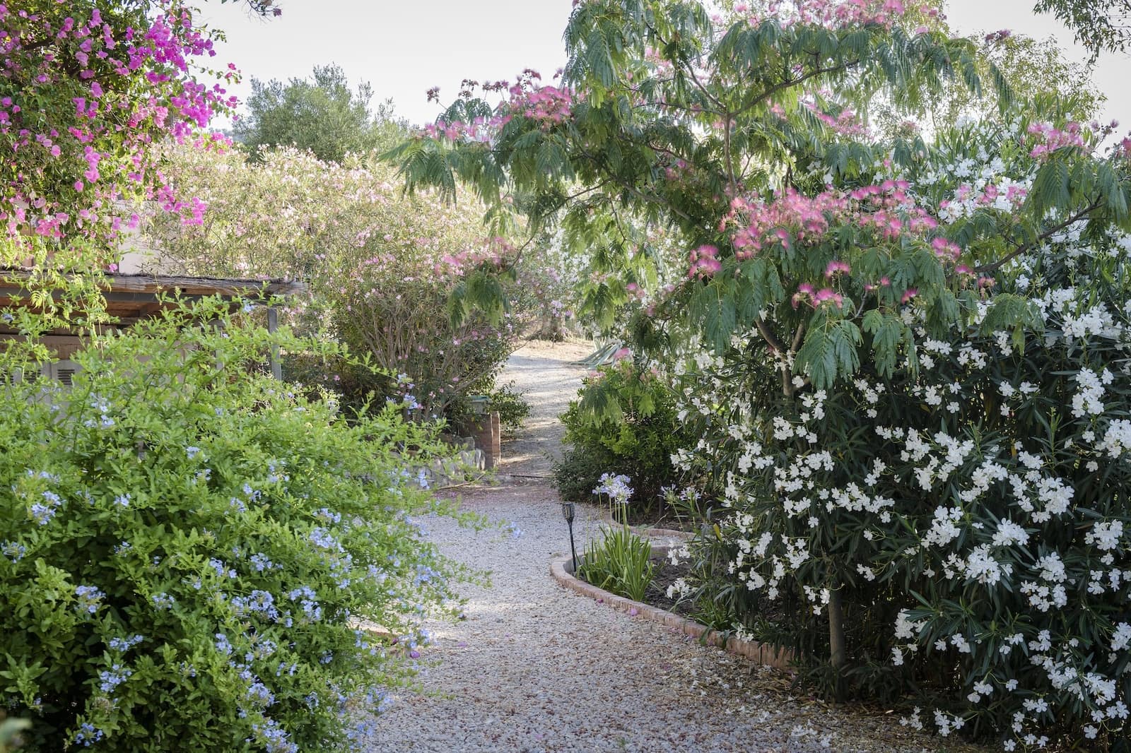 9 chambre Finca/Maison de Campagne à vendre à Gaucin avec piscine garage - 2 495 000 € (Ref: 9417515)