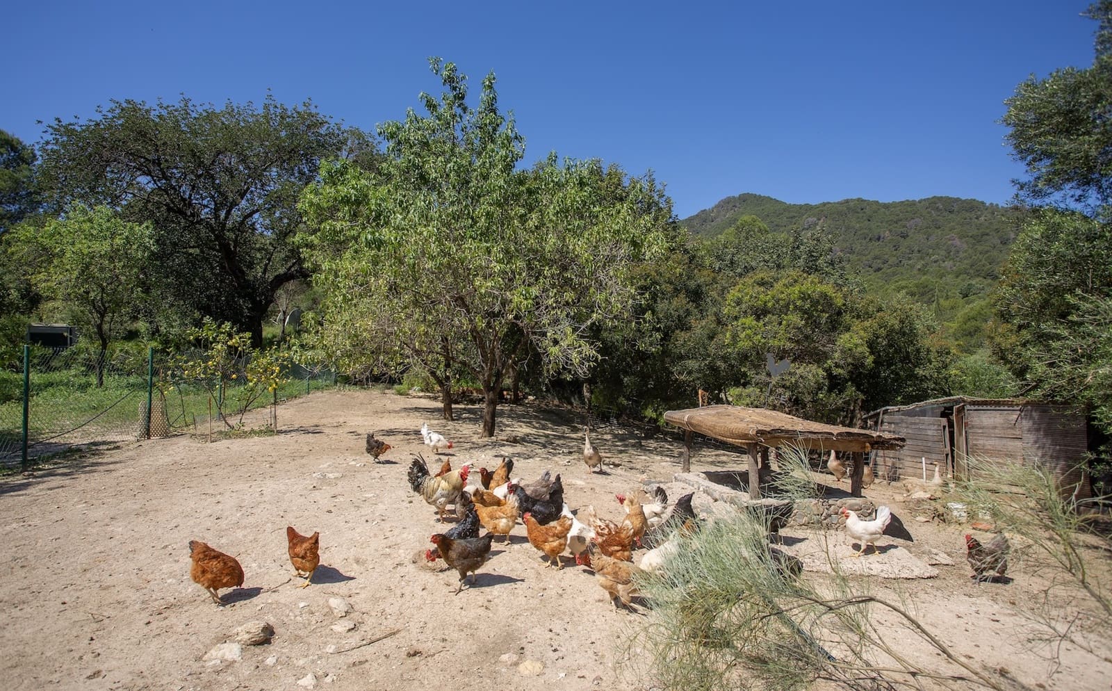 9 soveværelse Finca/Landehus til salg i Gaucin med swimmingpool garage - € 2.495.000 (Ref: 9417515)