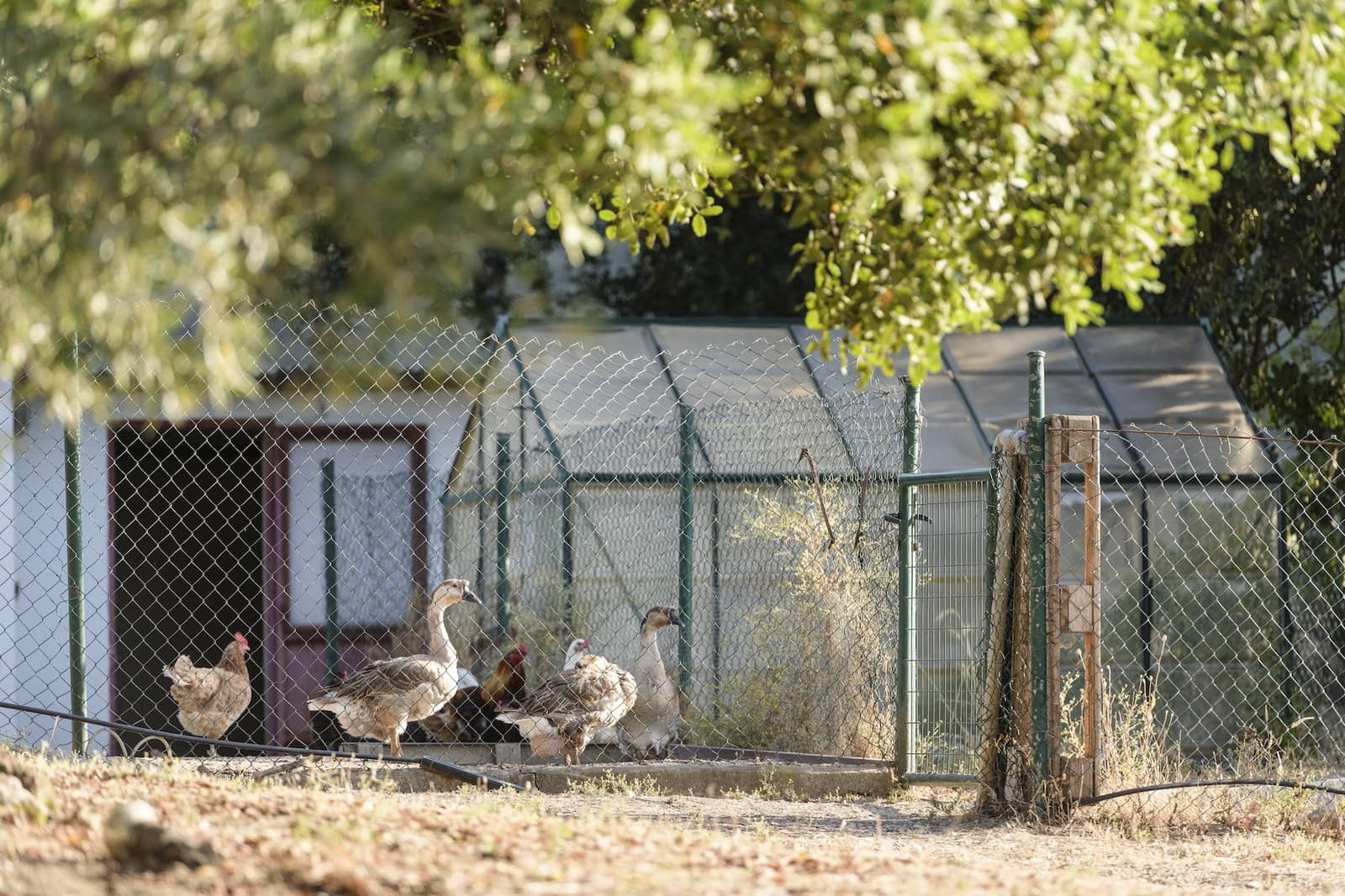 9 soveværelse Finca/Landehus til salg i Gaucin med swimmingpool garage - € 2.495.000 (Ref: 9417515)