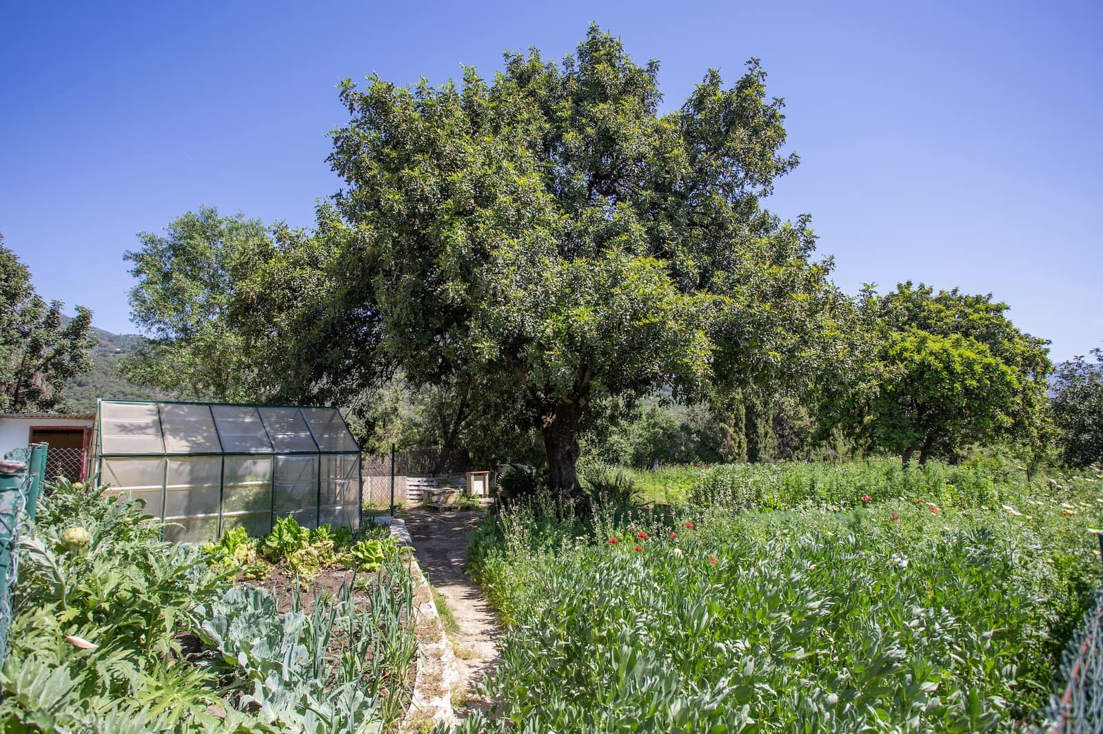 9 soveværelse Finca/Landehus til salg i Gaucin med swimmingpool garage - € 2.495.000 (Ref: 9417515)