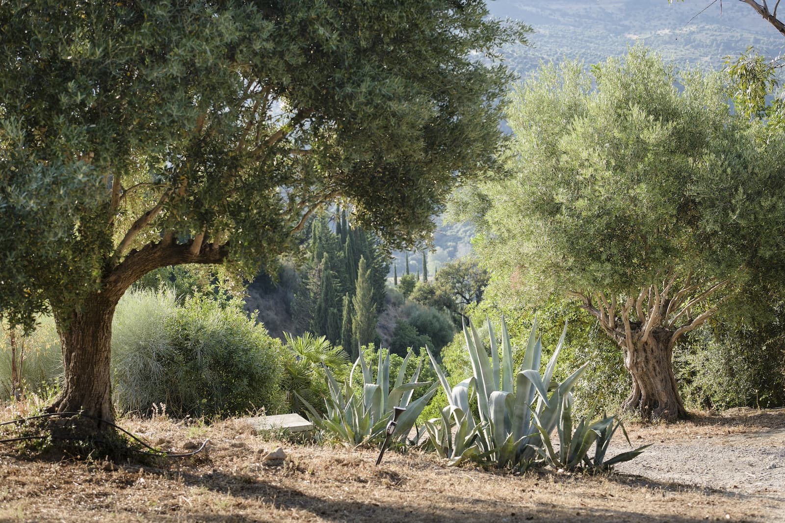 9 soveværelse Finca/Landehus til salg i Gaucin med swimmingpool garage - € 2.495.000 (Ref: 9417515)