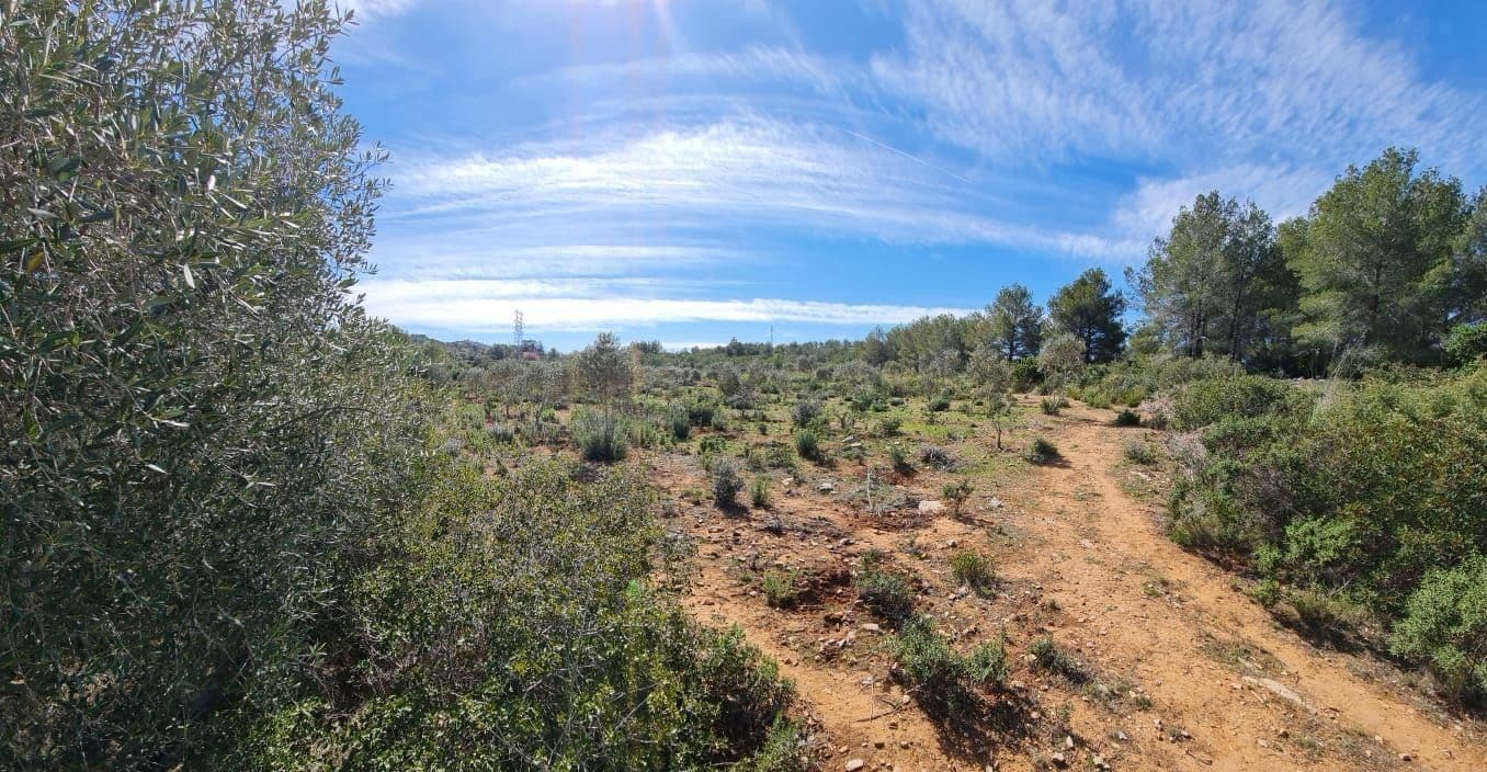 Building Plot for sale in Olivella - € 429,000 (Ref: 9220512)