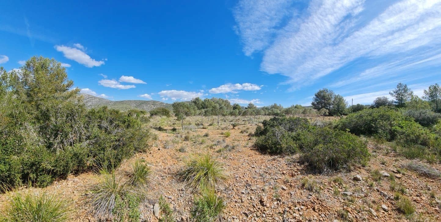 Building Plot for sale in Olivella - € 429,000 (Ref: 9220512)