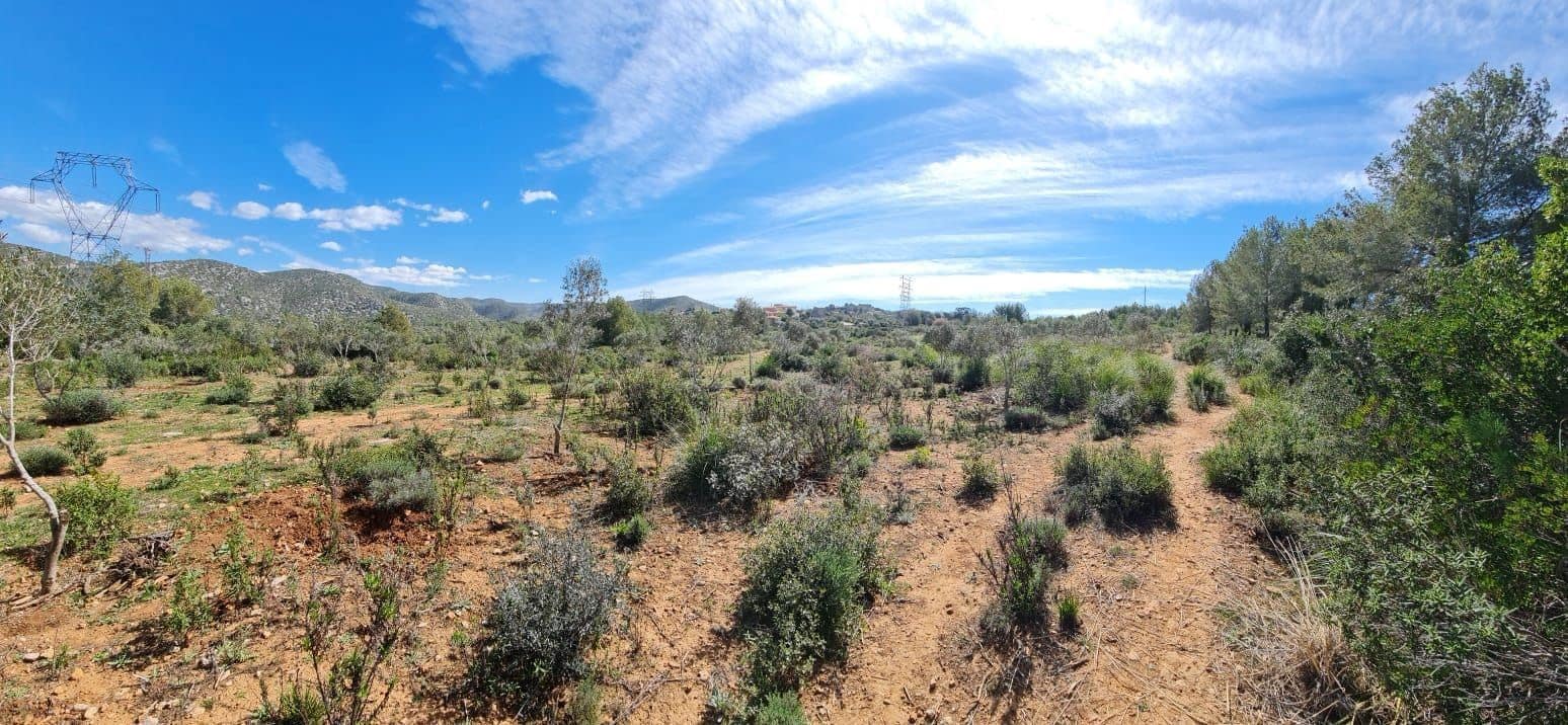 Building Plot for sale in Olivella - € 429,000 (Ref: 9220512)