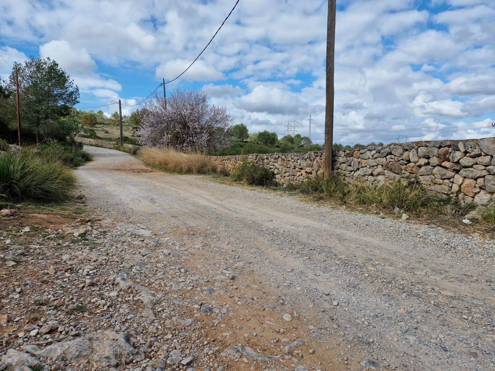 Building Plot for sale in Olivella - € 429,000 (Ref: 9220512)