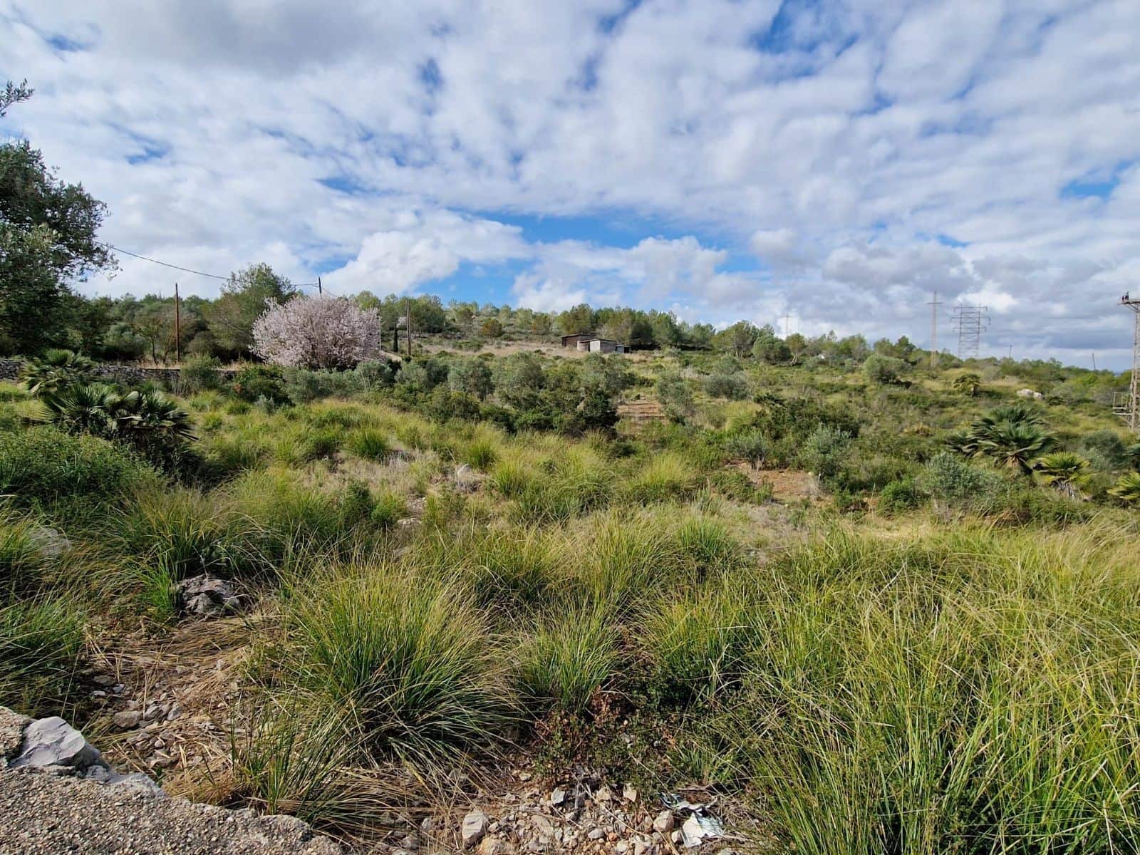 Building Plot for sale in Olivella - € 429,000 (Ref: 9220512)