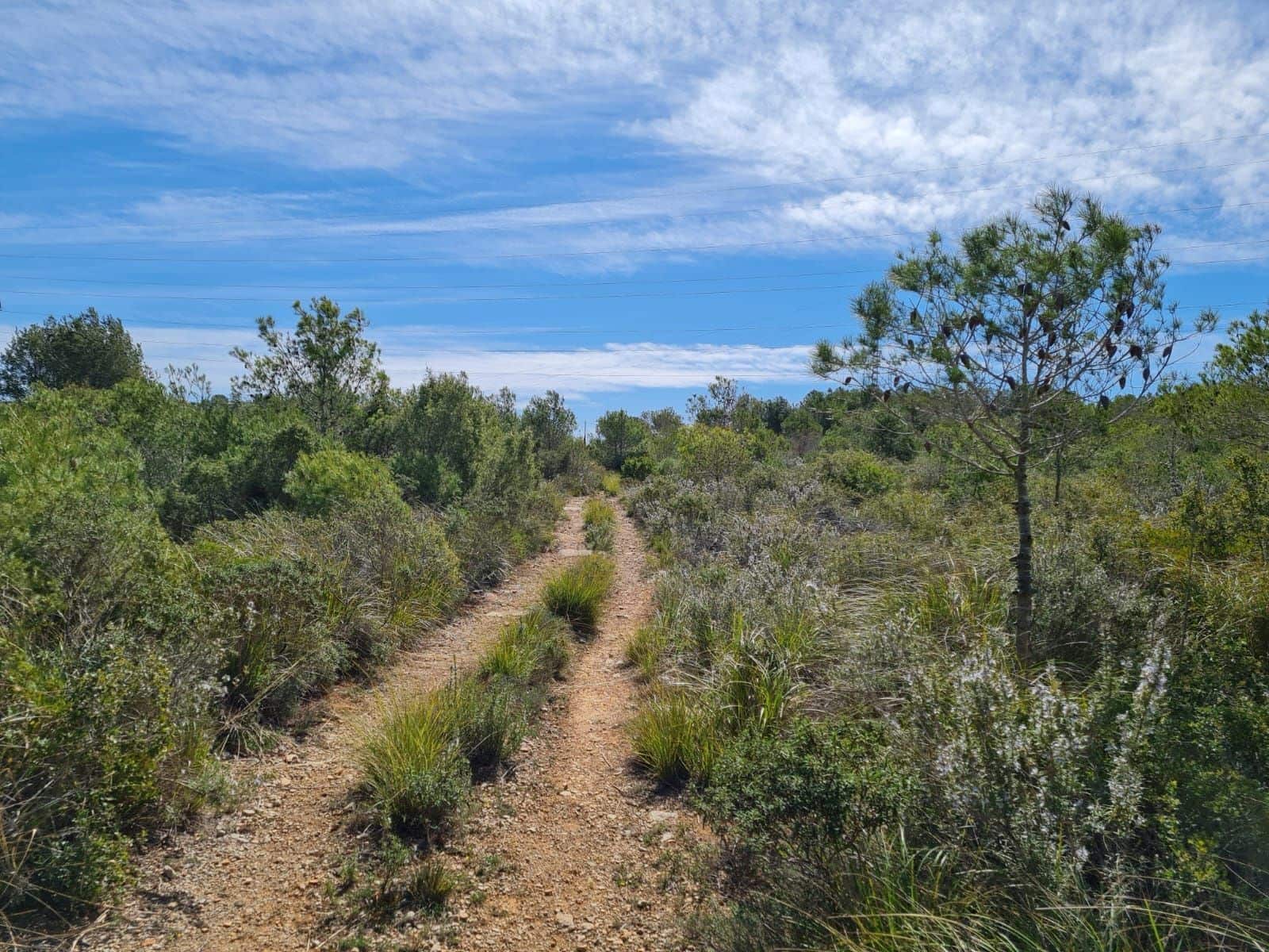 Building Plot for sale in Olivella - € 429,000 (Ref: 9220512)