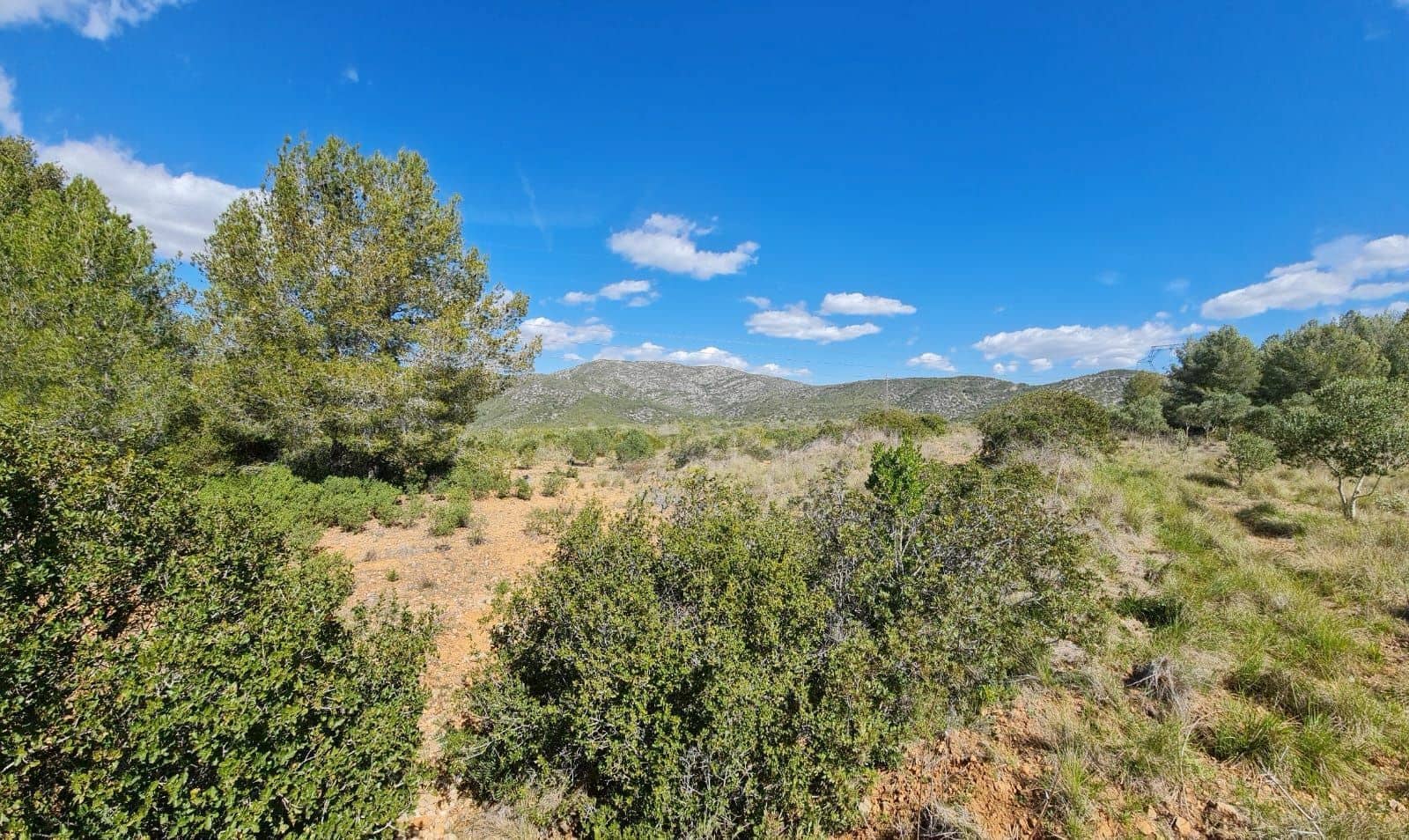 Building Plot for sale in Olivella - € 429,000 (Ref: 9220512)
