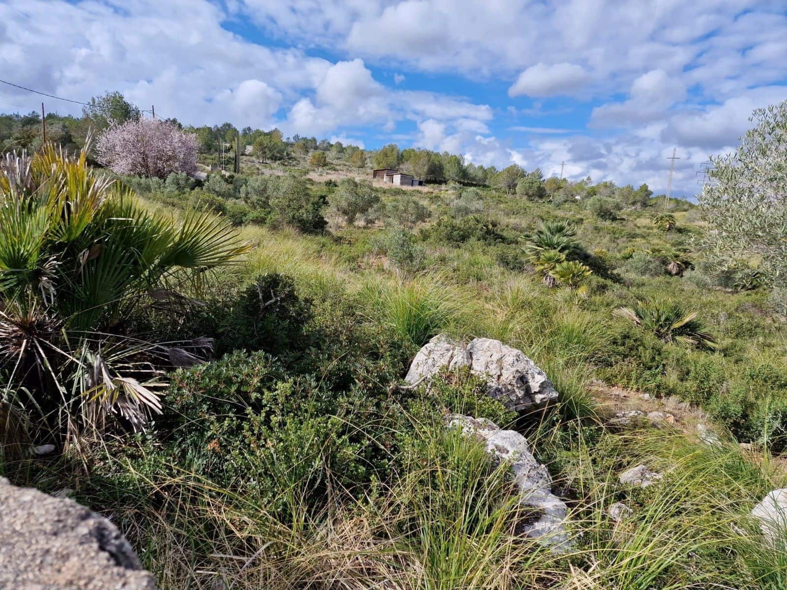 Building Plot for sale in Olivella - € 429,000 (Ref: 9220512)