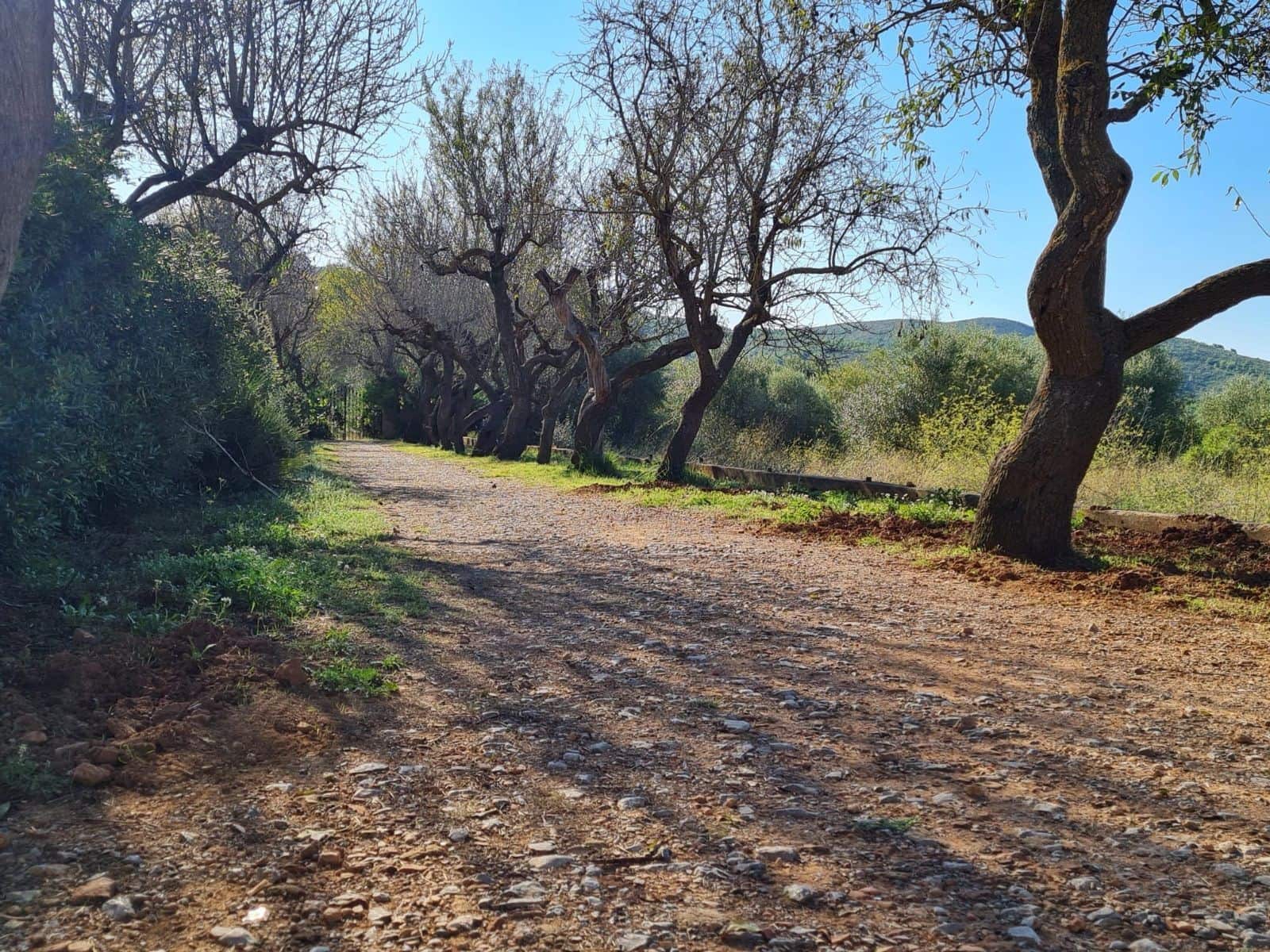 Building Plot for sale in Olivella - € 429,000 (Ref: 9220512)