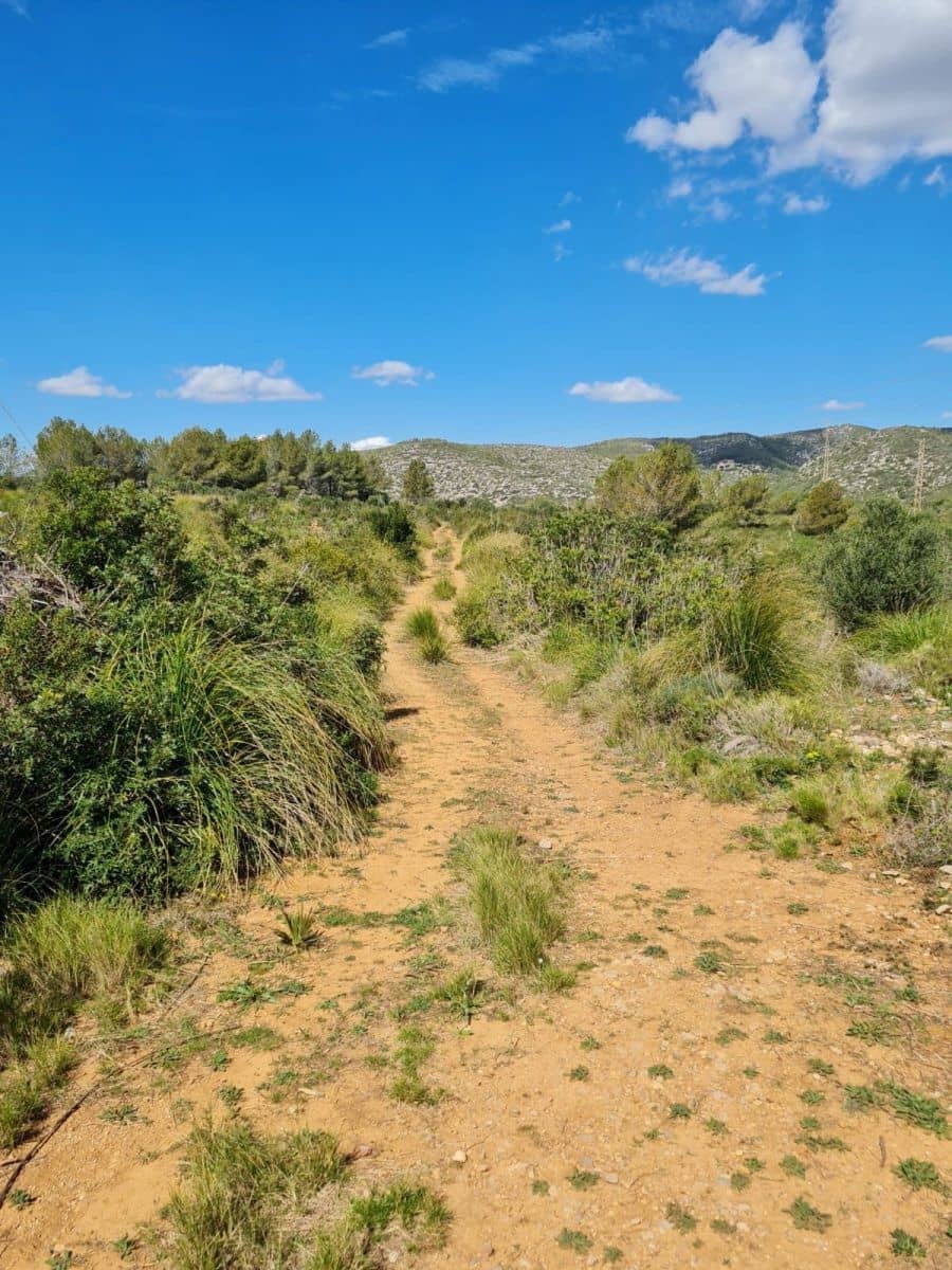 Building Plot for sale in Olivella - € 429,000 (Ref: 9220512)