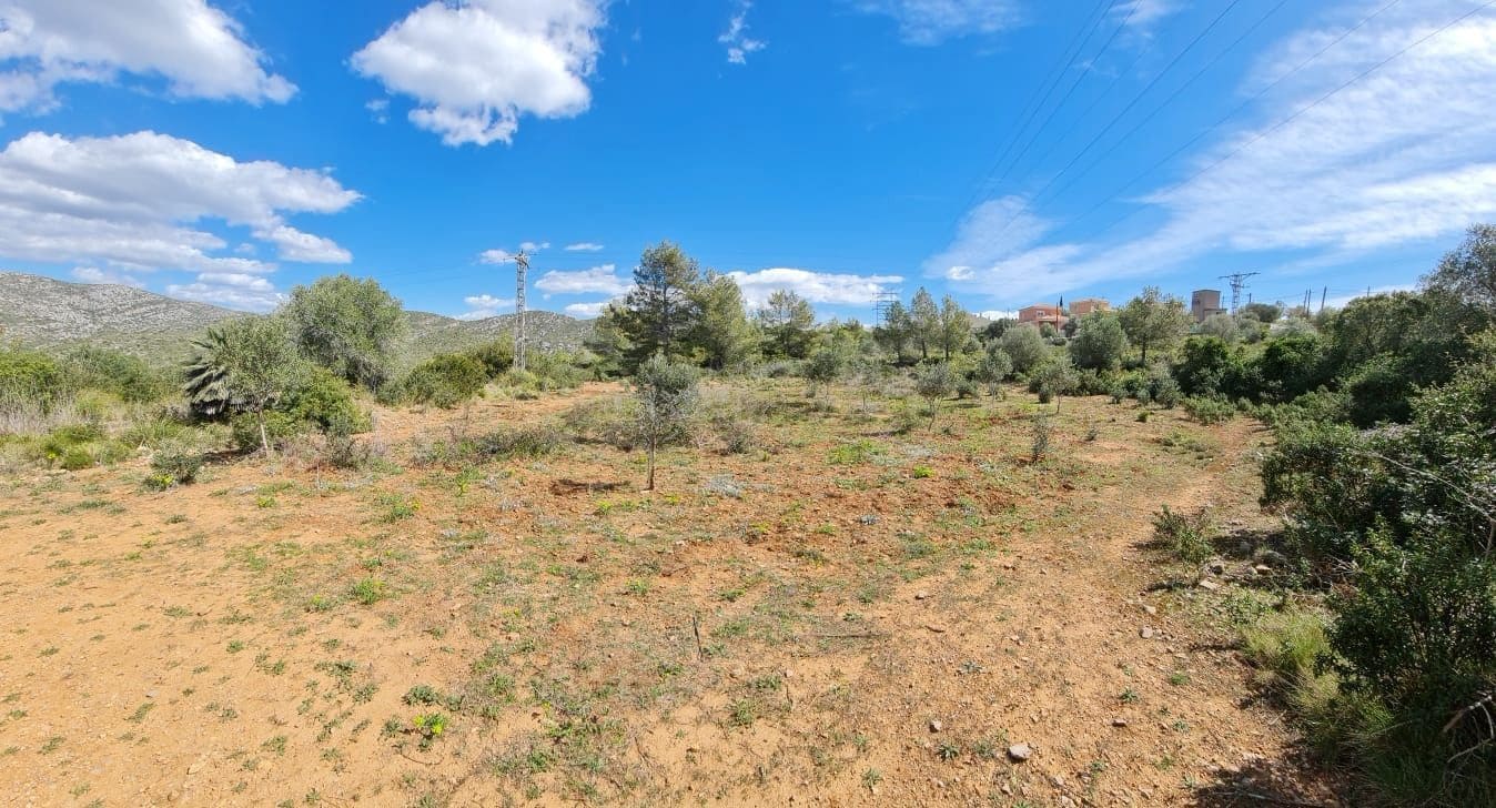 Building Plot for sale in Olivella - € 429,000 (Ref: 9220512)