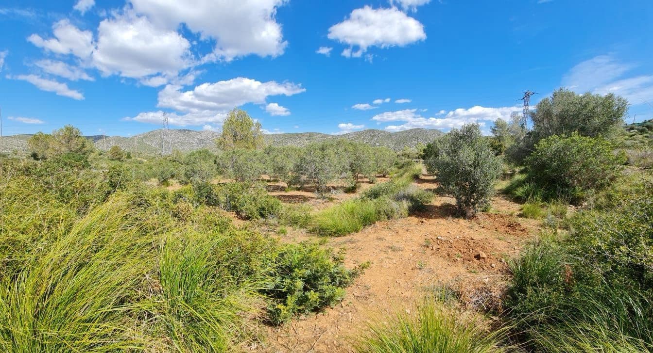 Building Plot for sale in Olivella - € 429,000 (Ref: 9220512)