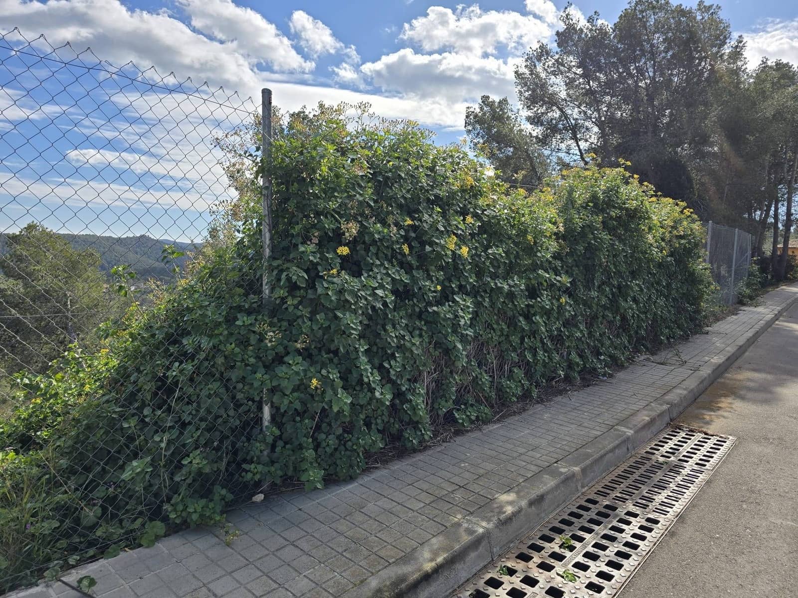 Byggegrund til salg i Olivella - € 179.000 (Ref: 9220515)