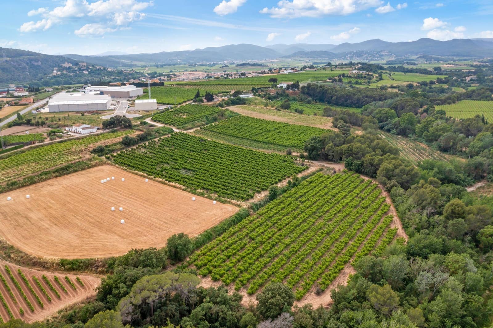 27 sypialnia Finka/Dom wiejski na sprzedaż w Sant Marti Sarroca z basenem garażem - 3 200 000 € (Ref: 9220521)