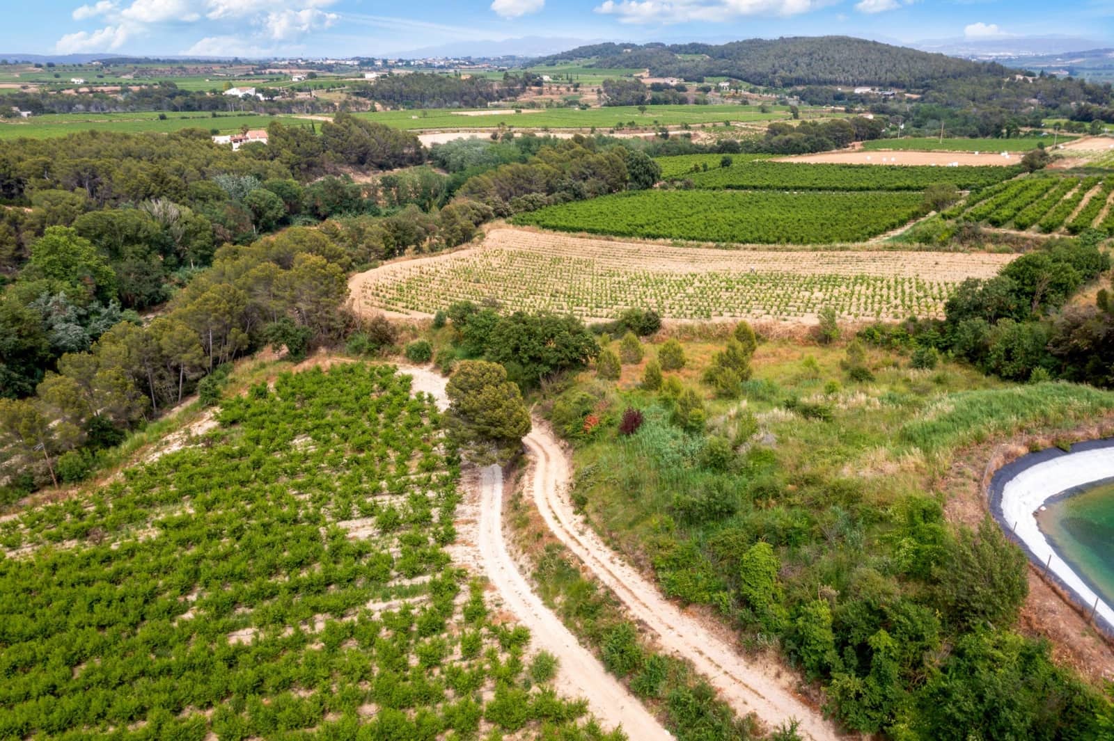 27 sypialnia Finka/Dom wiejski na sprzedaż w Sant Marti Sarroca z basenem garażem - 3 200 000 € (Ref: 9220521)