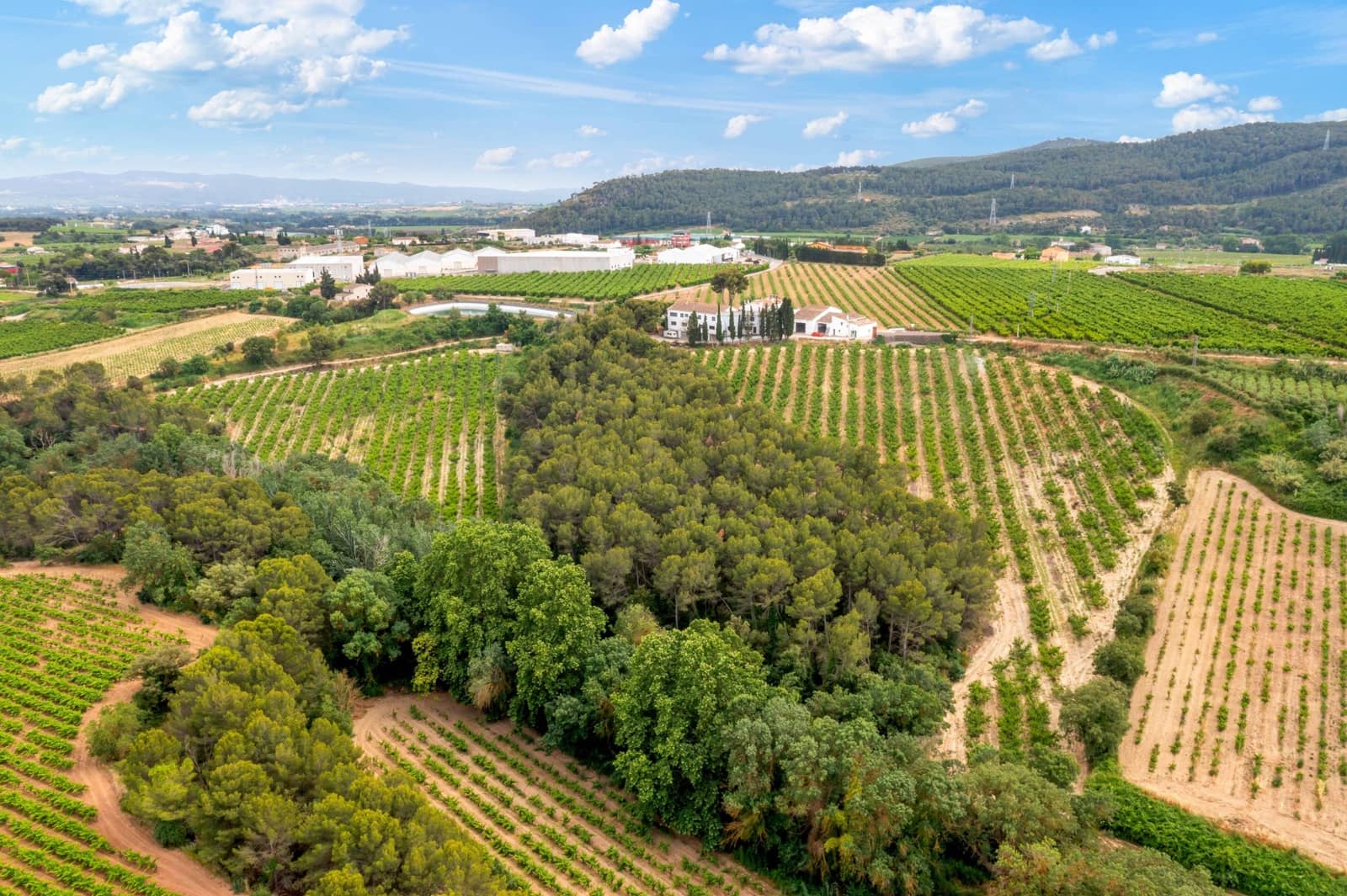 27 sypialnia Finka/Dom wiejski na sprzedaż w Sant Marti Sarroca z basenem garażem - 3 200 000 € (Ref: 9220521)