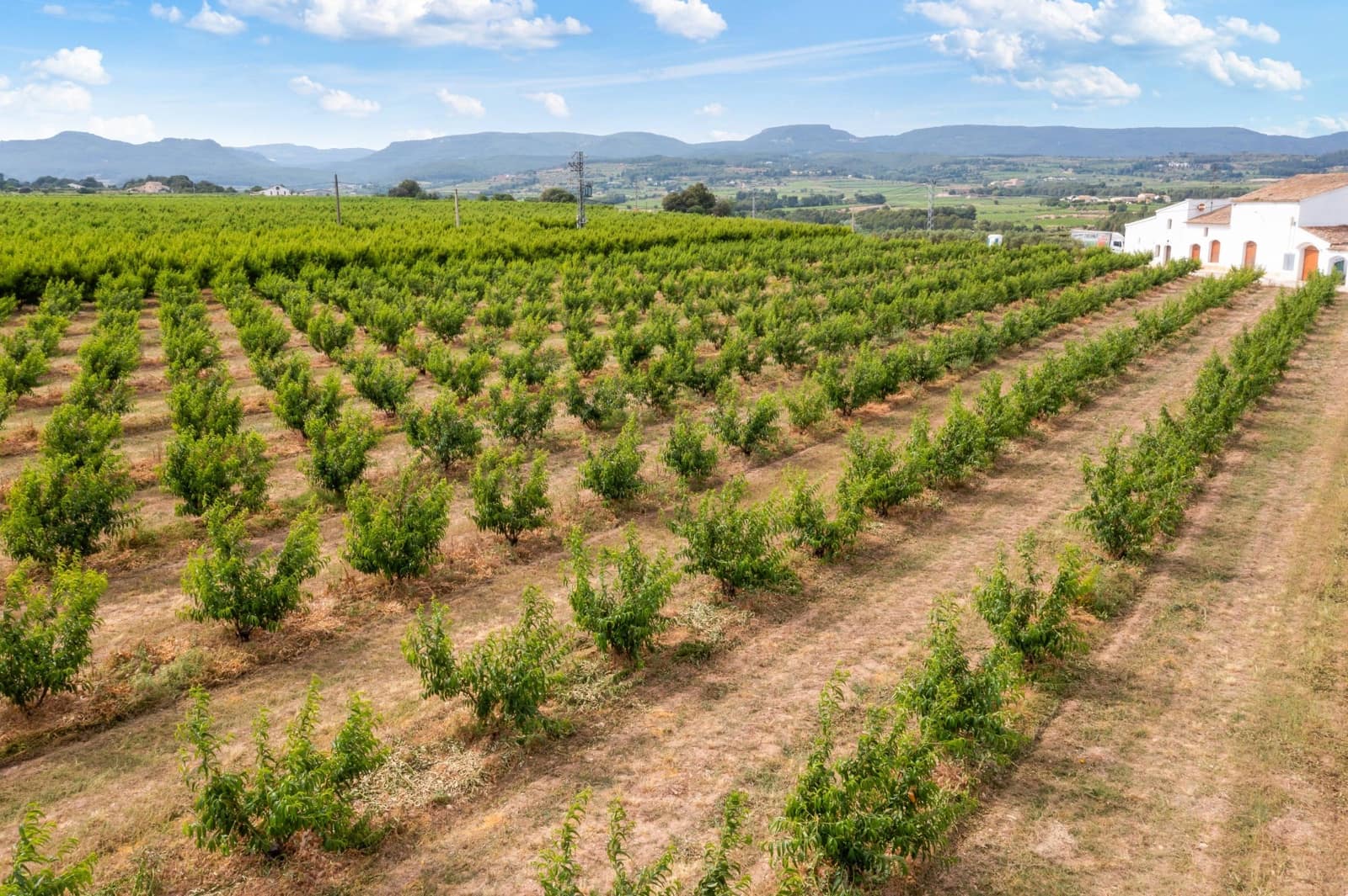 27 sypialnia Finka/Dom wiejski na sprzedaż w Sant Marti Sarroca z basenem garażem - 3 200 000 € (Ref: 9220521)