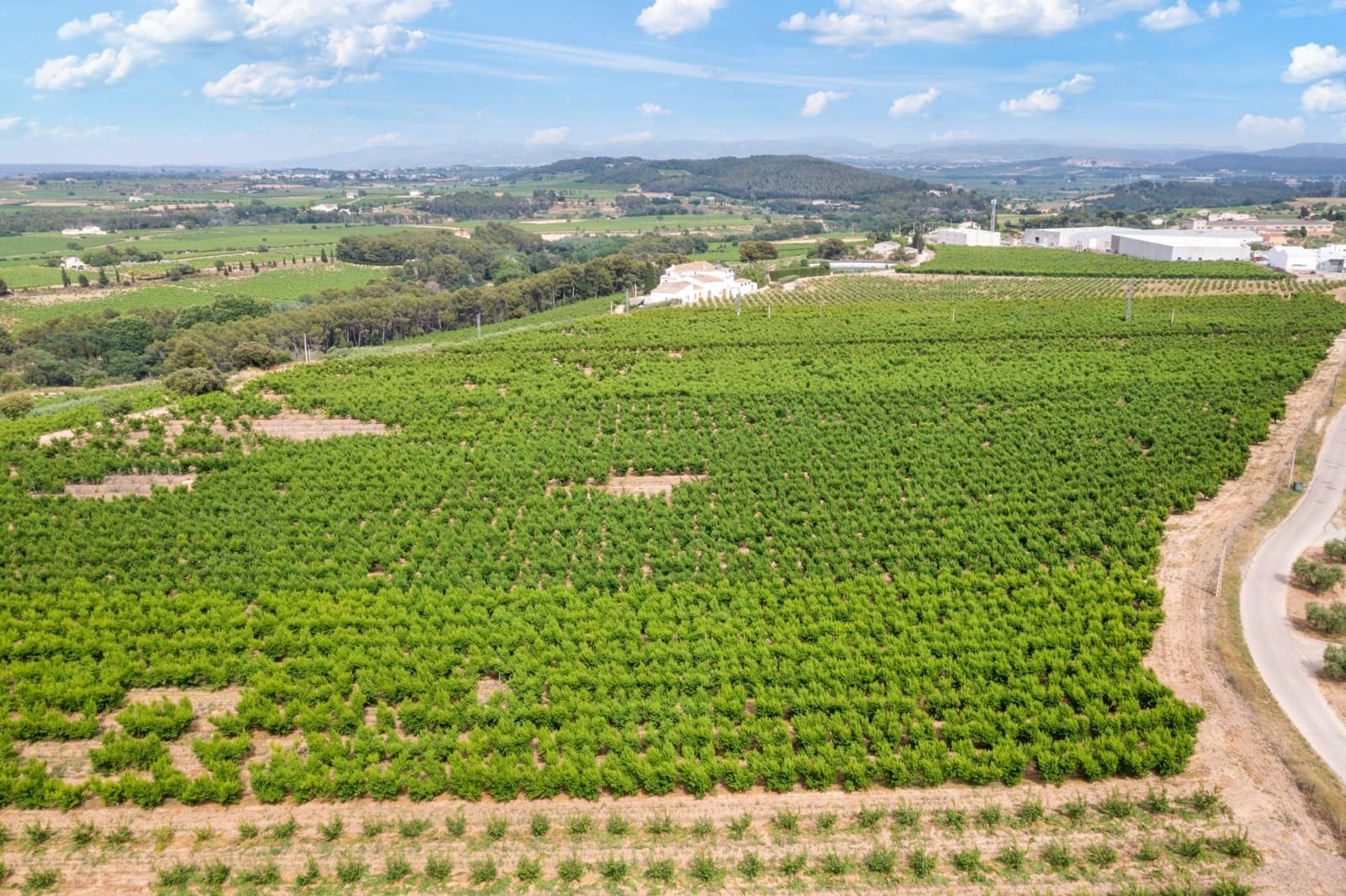 27 sypialnia Finka/Dom wiejski na sprzedaż w Sant Marti Sarroca z basenem garażem - 3 200 000 € (Ref: 9220521)