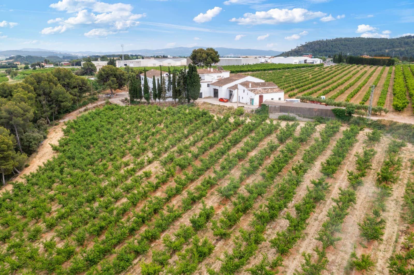 27 sypialnia Finka/Dom wiejski na sprzedaż w Sant Marti Sarroca z basenem garażem - 3 200 000 € (Ref: 9220521)