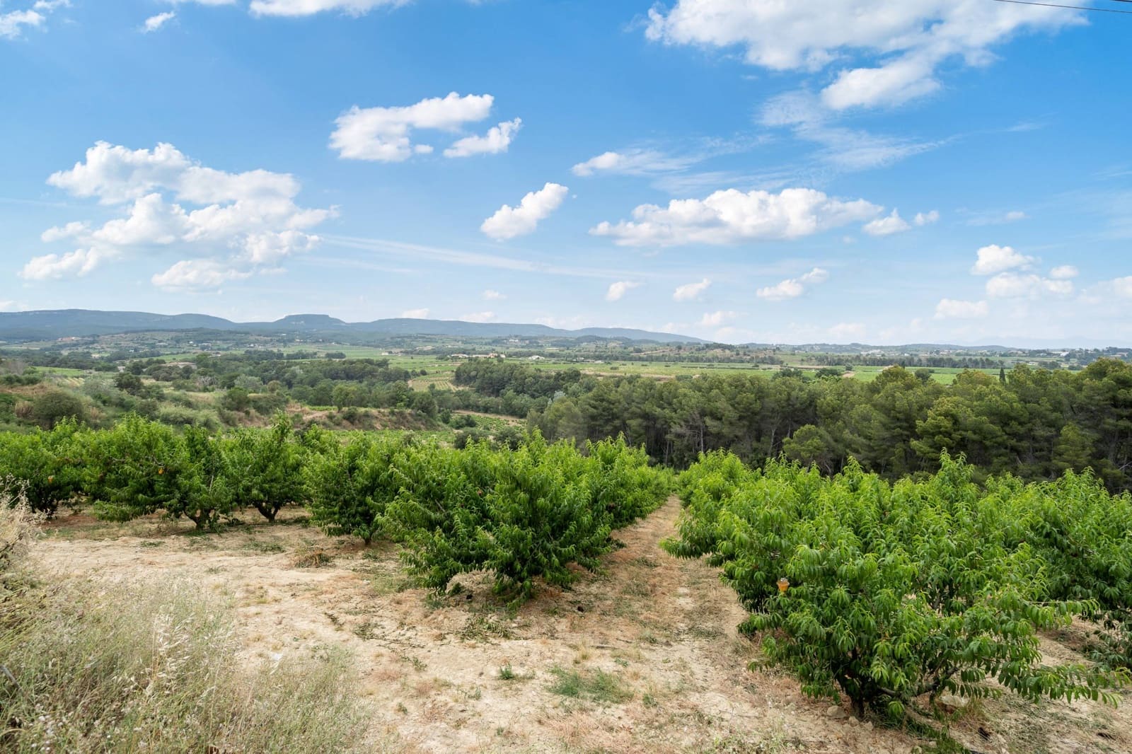 27 sypialnia Finka/Dom wiejski na sprzedaż w Sant Marti Sarroca z basenem garażem - 3 200 000 € (Ref: 9220521)