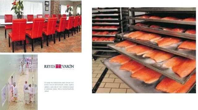 Empresa para venda em Sant Jaume dels Domenys com garagem - 850 000 € (Ref: 9233033)