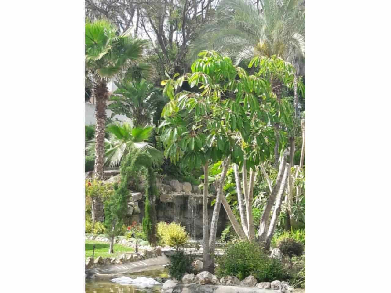 Appartement de 3 chambres à louer à Marbella avec piscine garage - 2 000 € (Ref: 9343368)