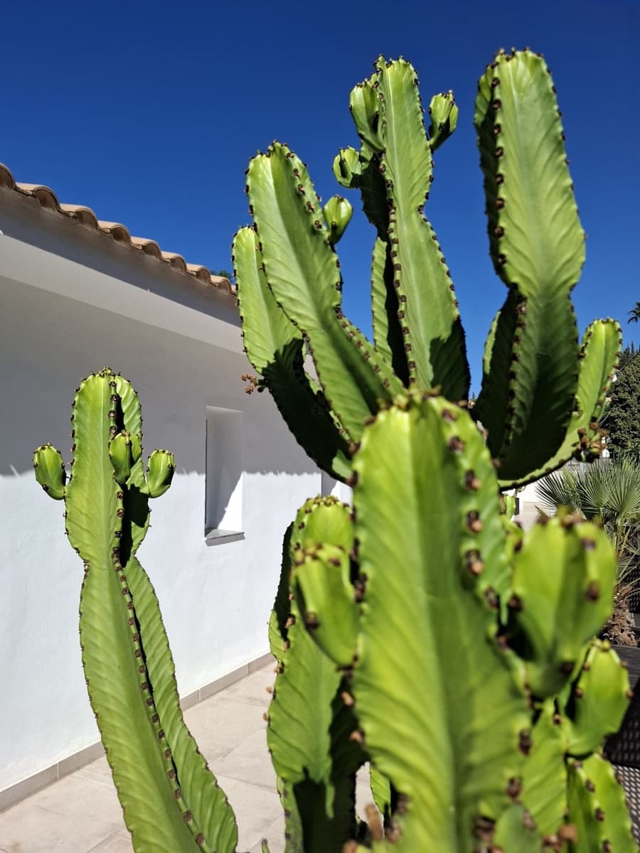 5 slaapkamer Villa te koop in Mijas met zwembad garage - € 1.345.000 (Ref: 10041506)