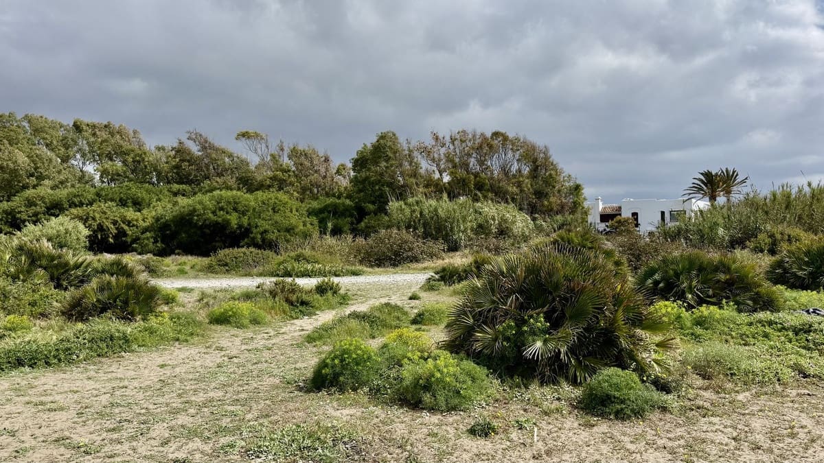 5 sovrum Villa till salu i Cancelada med pool garage - 2 400 000 € (Ref: 10041870)
