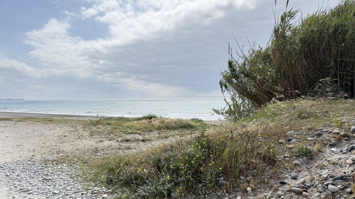 5 sovrum Villa till salu i Cancelada med pool garage - 2 400 000 € (Ref: 10041870)