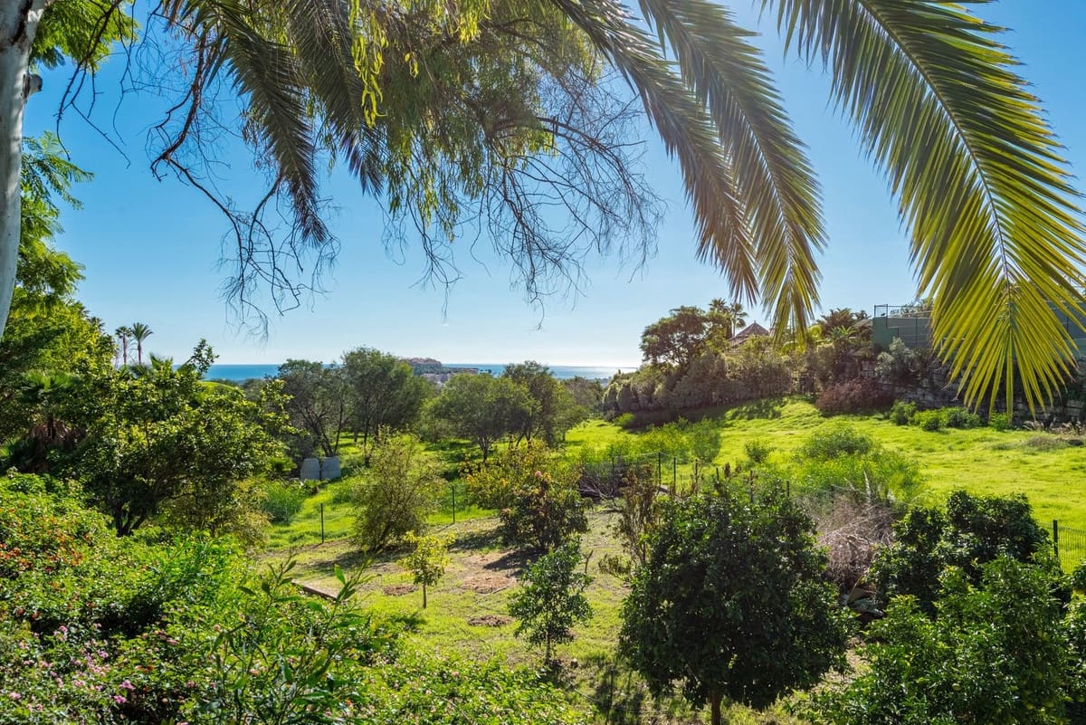 5 bedroom Villa for sale in Nueva Andalucia with garage - € 3,850,000 (Ref: 8754922)