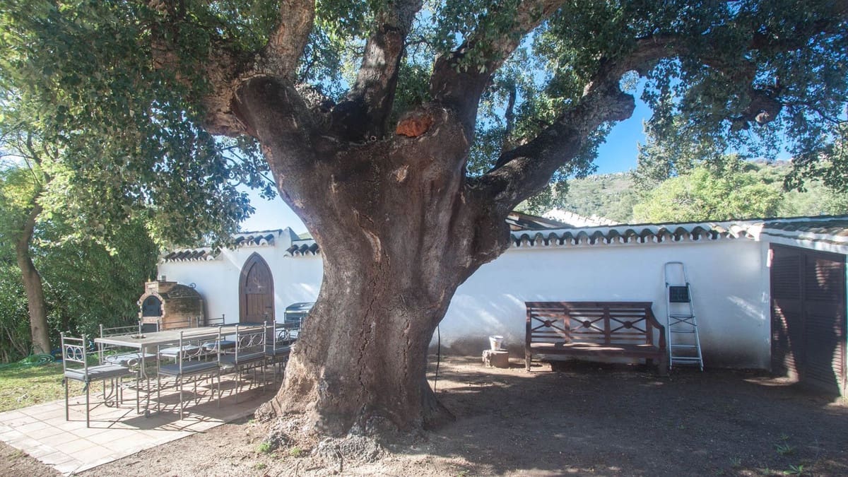 5 soveværelse Villa til salg i Casares - € 1.400.000 (Ref: 8941862)